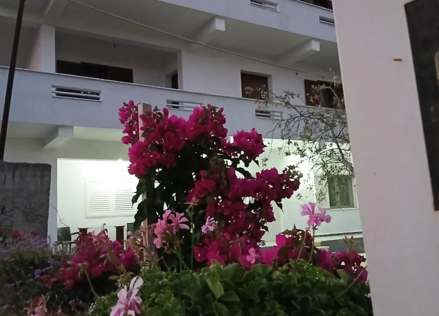 Vila Bali Durrës Albánia